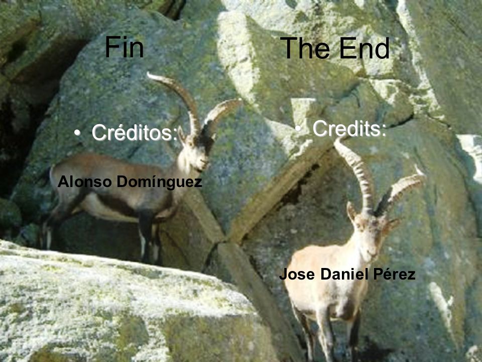 Fin The End Credits: Créditos: Alonso Domínguez Jose Daniel Pérez