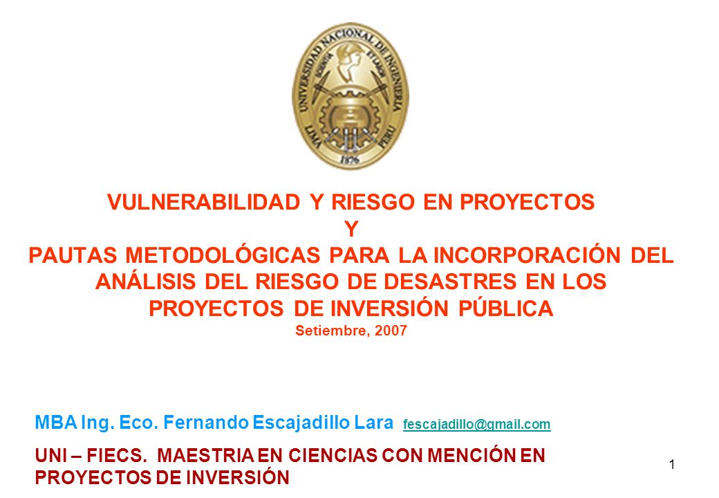 VULNERABILIDAD Y RIESGO EN PROYECTOS Y PAUTAS METODOLÓGICAS PARA LA INCORPORACIÓN DEL ANÁLISIS DEL RIESGO DE DESASTRES EN LOS PROYECTOS DE INVERSIÓN PÚBLICA Setiembre, 2007