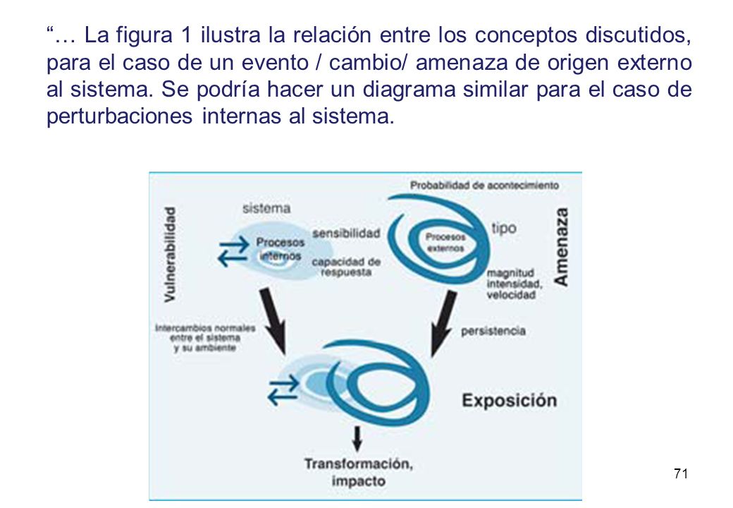 … La figura 1 ilustra la relación entre los conceptos discutidos, para el caso de un evento / cambio/ amenaza de origen externo al sistema.