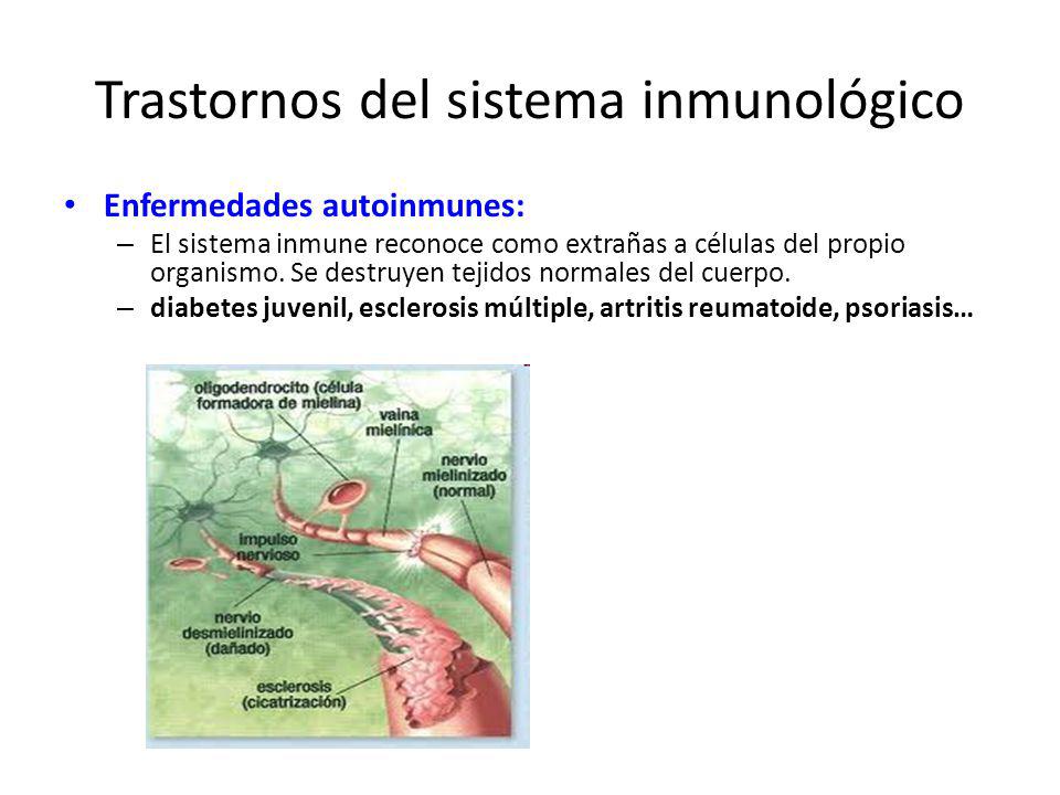 Trastornos del sistema inmunológico