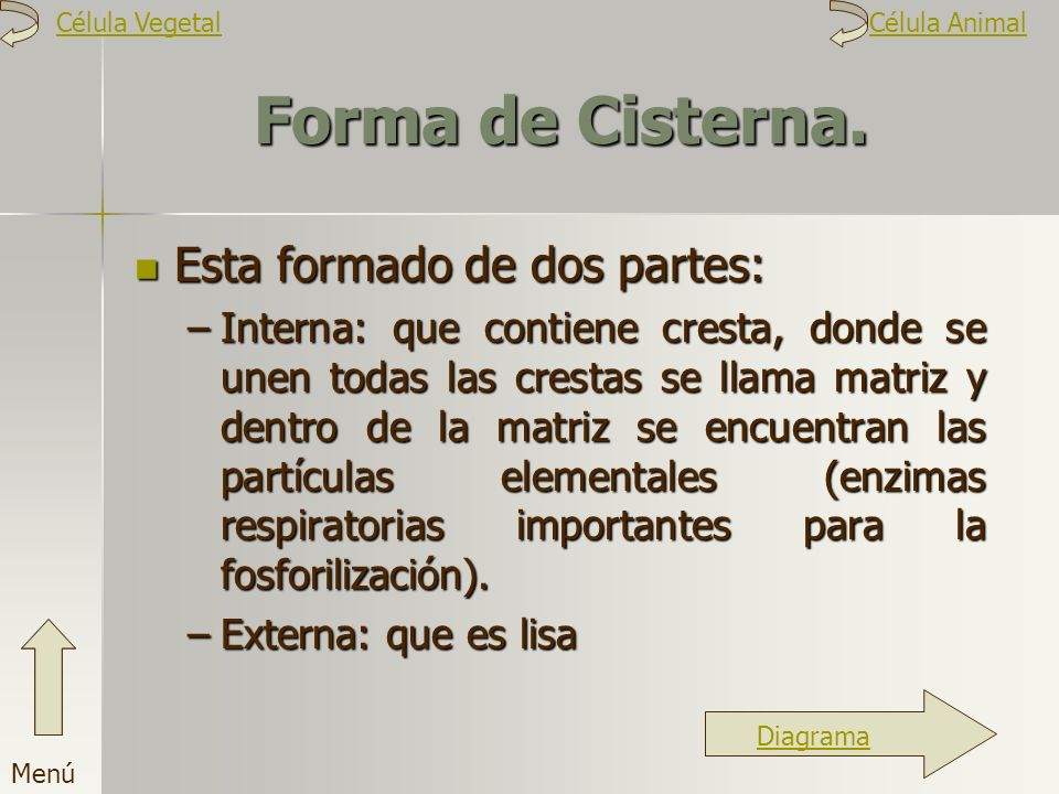 Forma de Cisterna. Esta formado de dos partes: