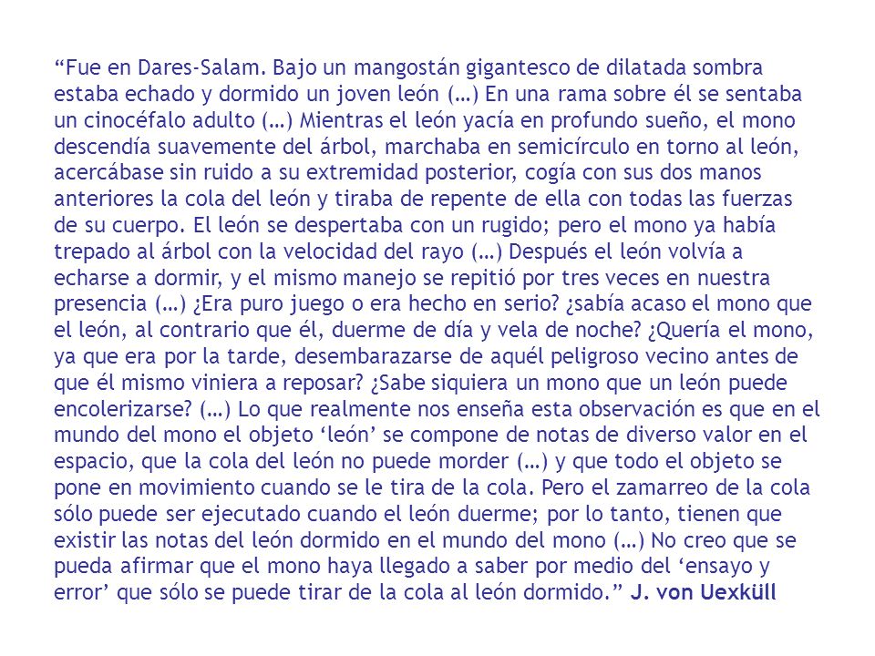 Fue en Dares-Salam.