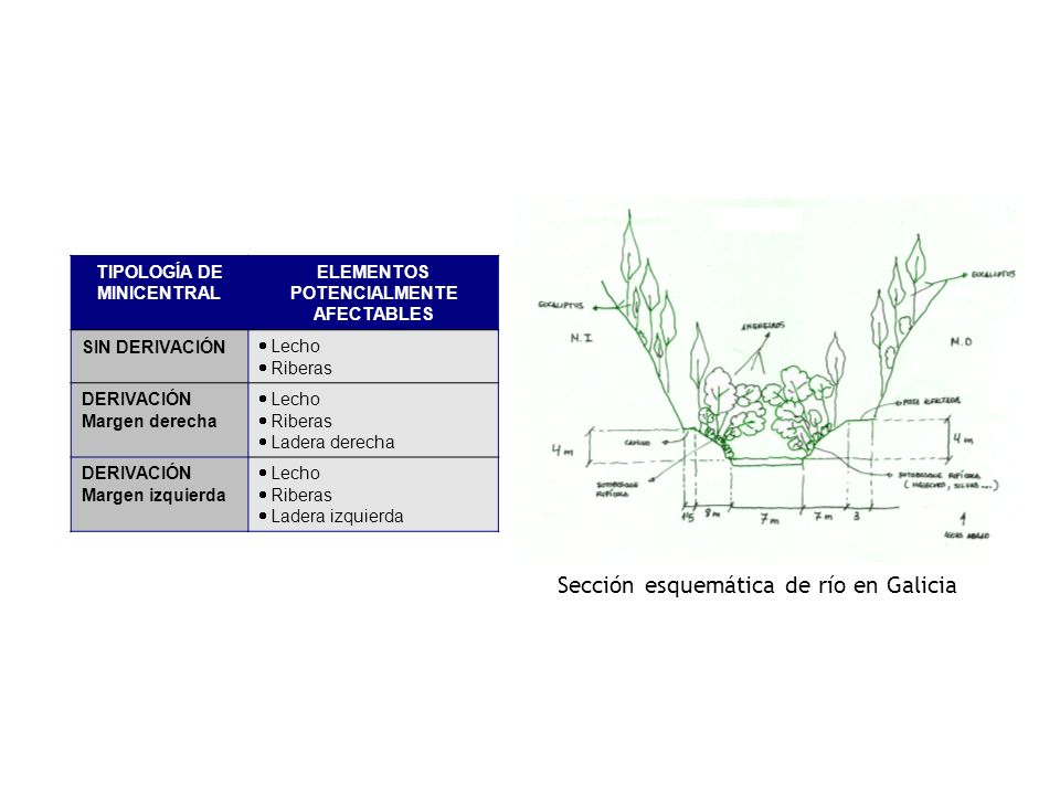 TIPOLOGÍA DE MINICENTRAL ELEMENTOS POTENCIALMENTE AFECTABLES