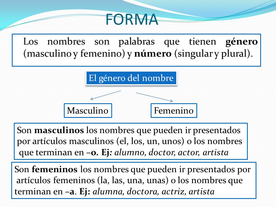 FORMA Los nombres son palabras que tienen género (masculino y femenino) y número (singular y plural).