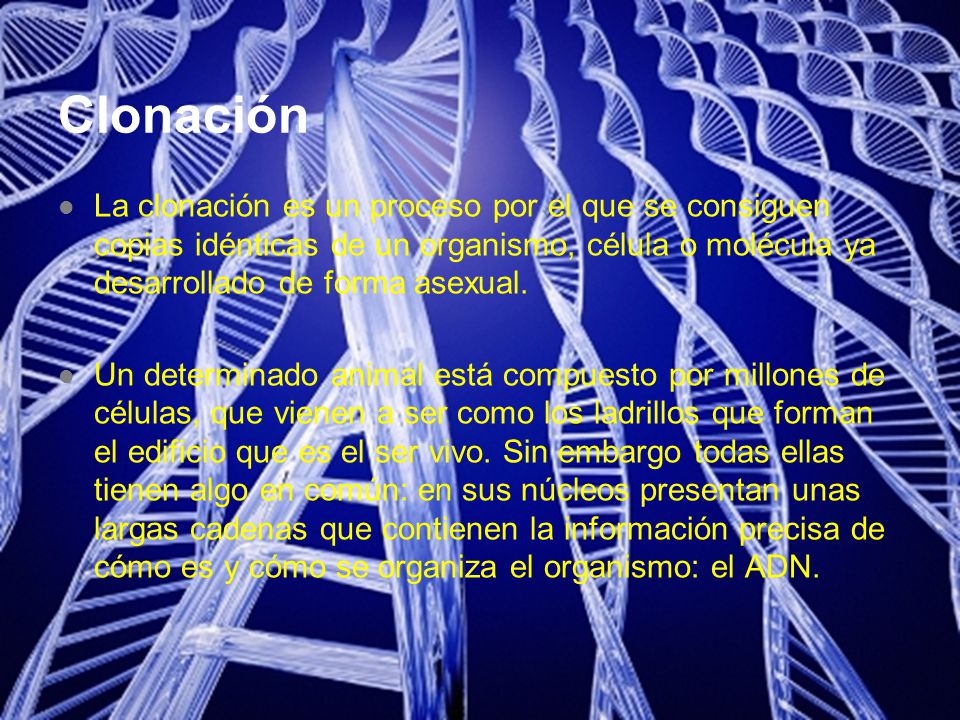 Clonación La clonación es un proceso por el que se consiguen copias idénticas de un organismo, célula o molécula ya desarrollado de forma asexual.