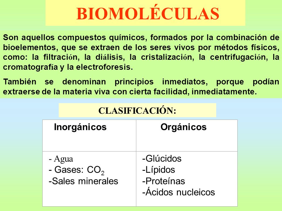 BIOMOLÉCULAS CLASIFICACIÓN: - Agua - Gases: CO2 -Sales minerales