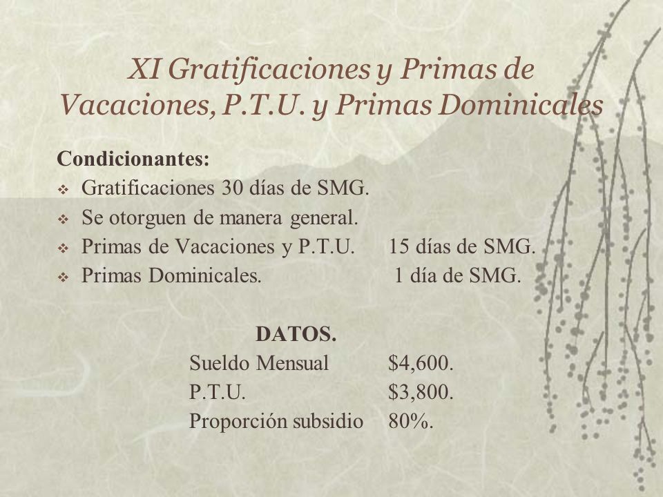 XI Gratificaciones y Primas de Vacaciones, P.T.U. y Primas Dominicales