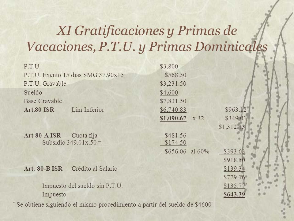 XI Gratificaciones y Primas de Vacaciones, P.T.U. y Primas Dominicales