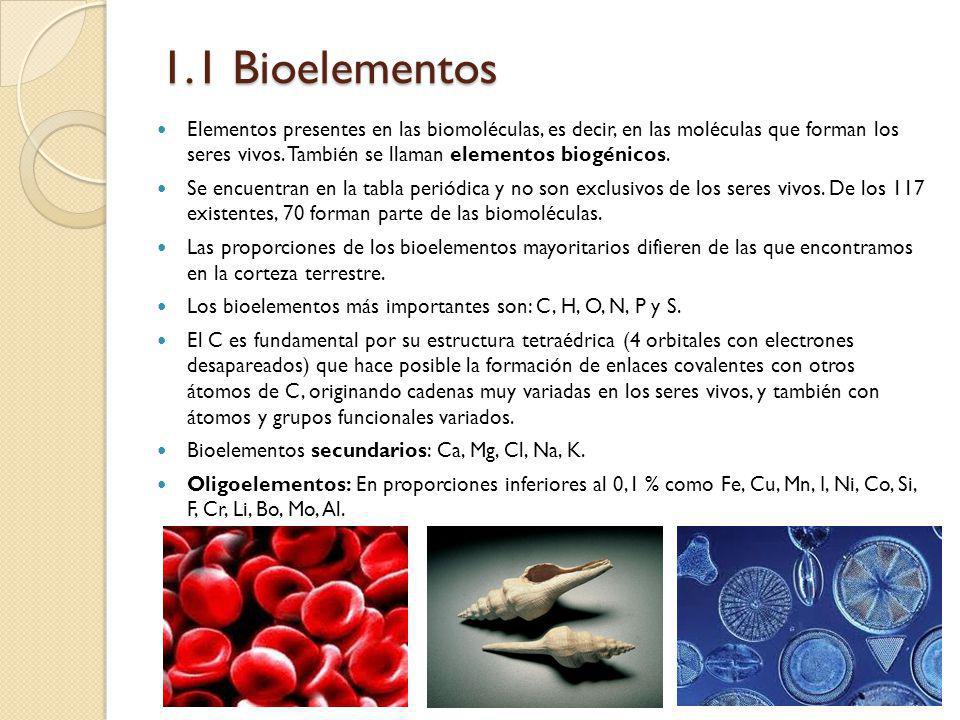 1.1 Bioelementos