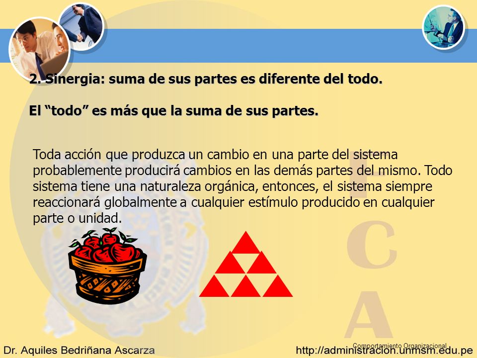 2. Sinergia: suma de sus partes es diferente del todo.
