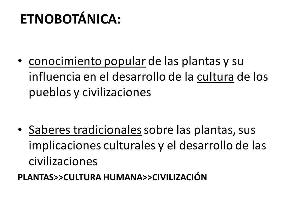 ETNOBOTÁNICA: conocimiento popular de las plantas y su influencia en el desarrollo de la cultura de los pueblos y civilizaciones.
