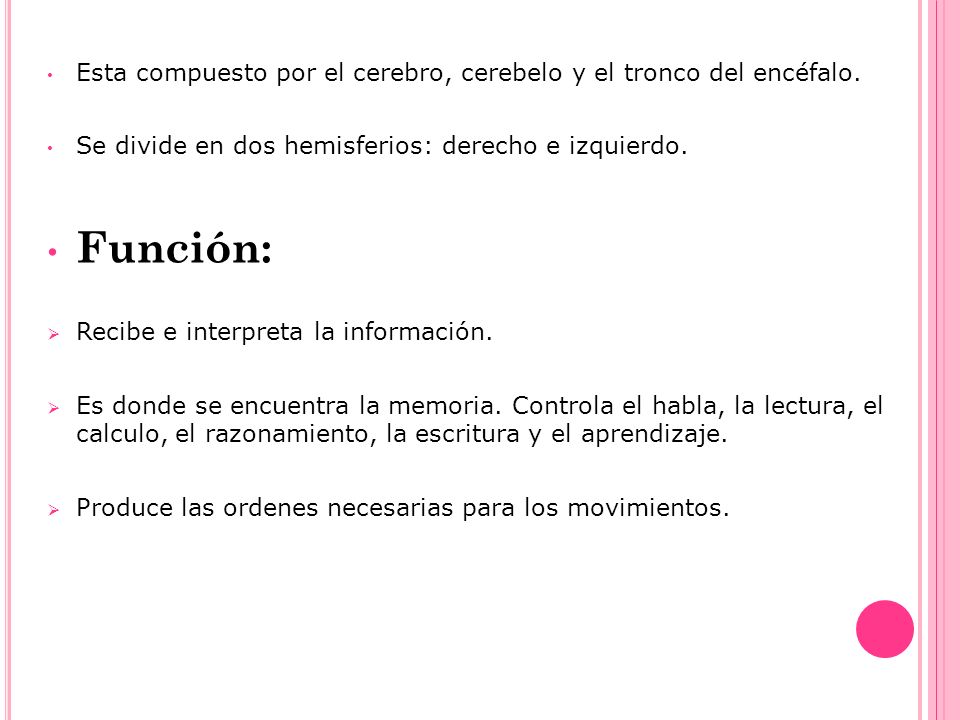 Esta compuesto por el cerebro, cerebelo y el tronco del encéfalo.