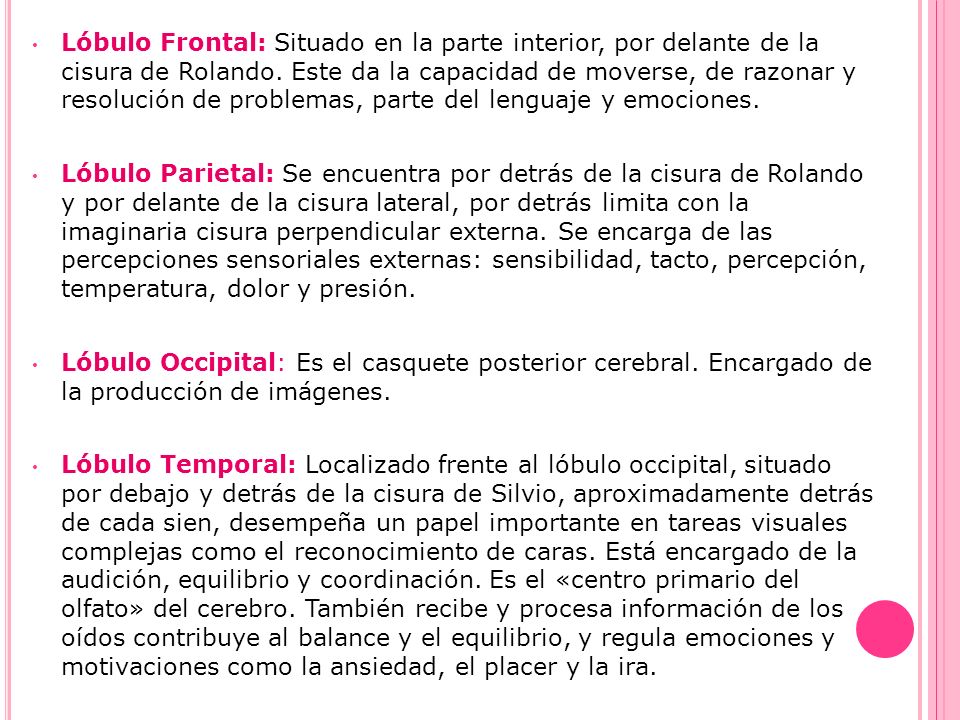 Lóbulo Frontal: Situado en la parte interior, por delante de la cisura de Rolando. Este da la capacidad de moverse, de razonar y resolución de problemas, parte del lenguaje y emociones.