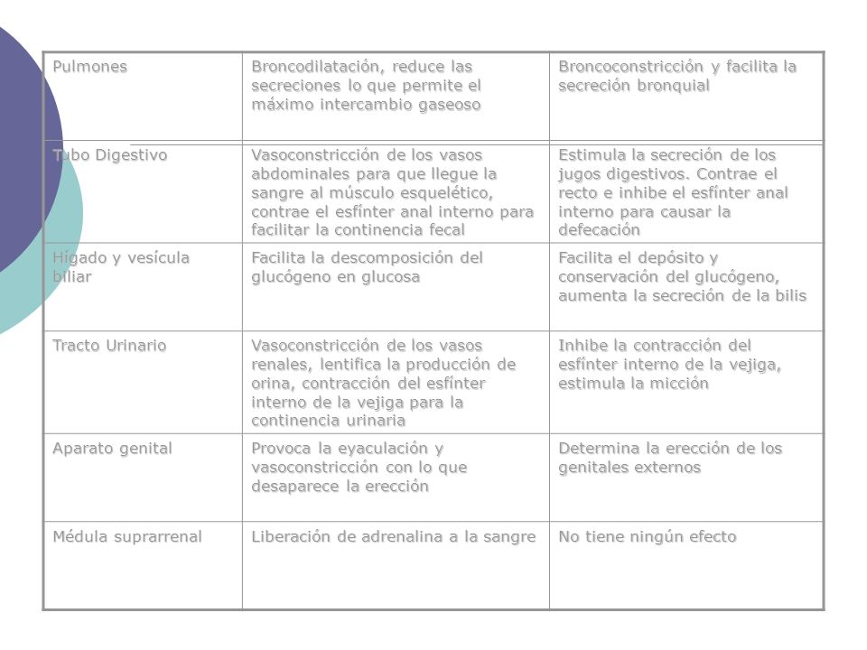 Pulmones Broncodilatación, reduce las secreciones lo que permite el máximo intercambio gaseoso. Broncoconstricción y facilita la secreción bronquial.