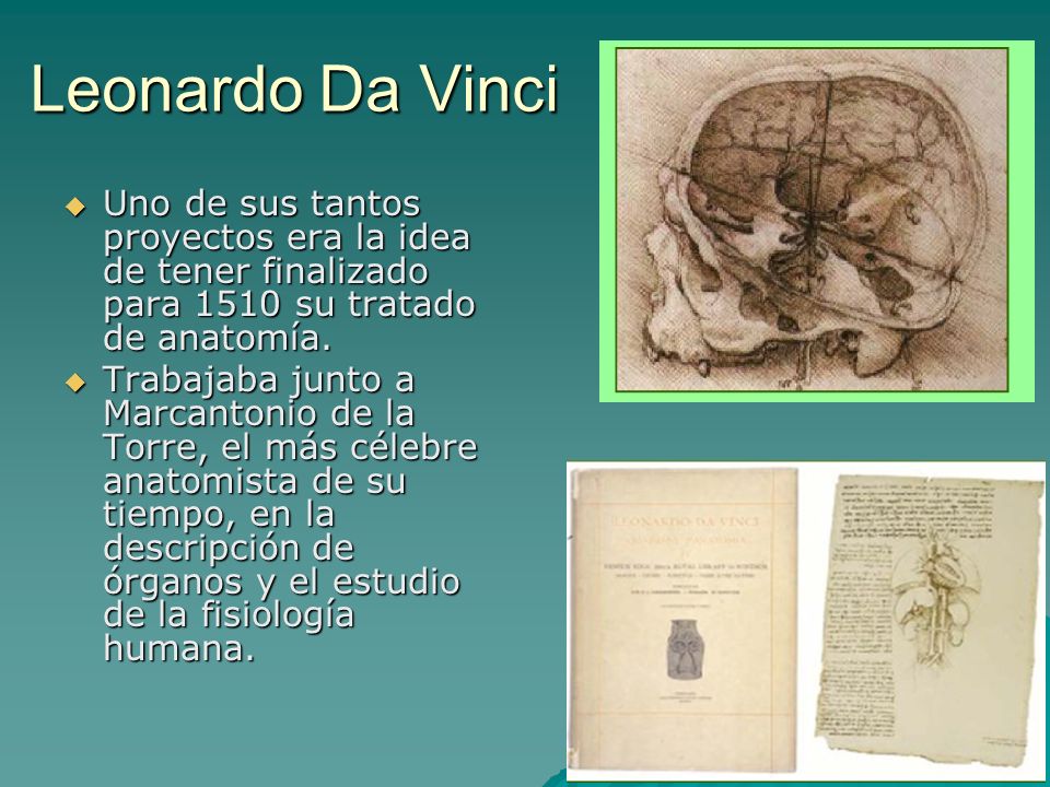 Leonardo Da Vinci Uno de sus tantos proyectos era la idea de tener finalizado para 1510 su tratado de anatomía.
