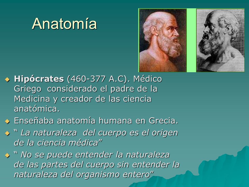 Anatomía Hipócrates ( A.C). Médico Griego considerado el padre de la Medicina y creador de las ciencia anatómica.