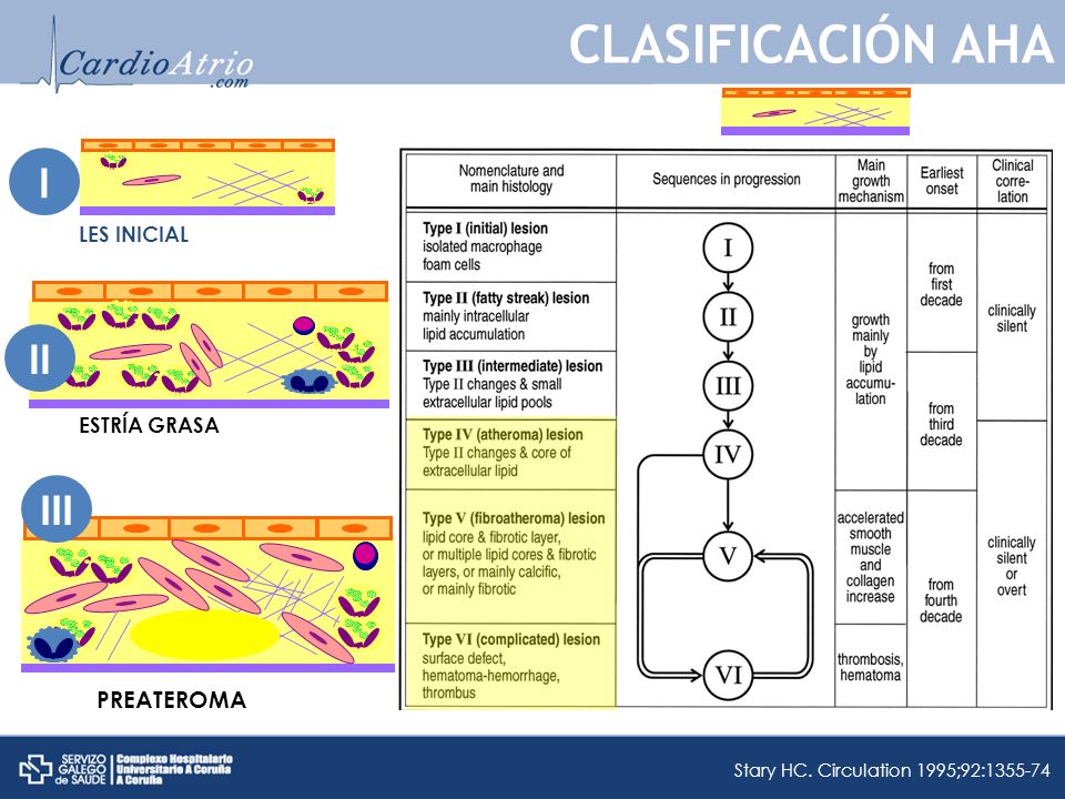 CLASIFICACIÓN AHA I II III PREATEROMA LES INICIAL ESTRÍA GRASA