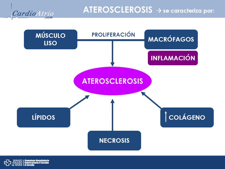 ATEROSCLEROSIS  se caracteriza por: