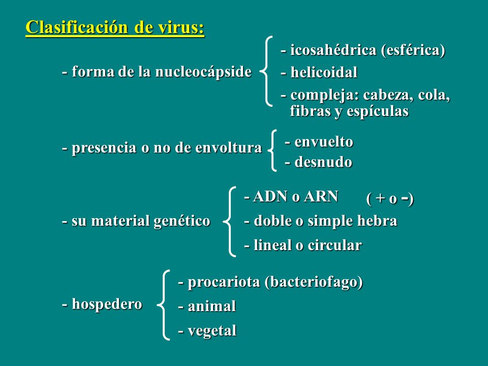 Clasificación de virus: