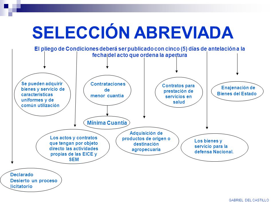 SELECCIÓN ABREVIADA GABRIEL DEL CASTILLO