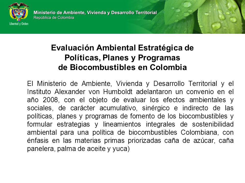 Evaluación Ambiental Estratégica de Políticas, Planes y Programas de Biocombustibles en Colombia