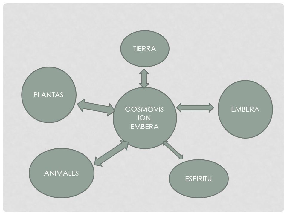 TIERRA PLANTAS EMBERA COSMOVISION EMBERA ANIMALES ESPIRITU