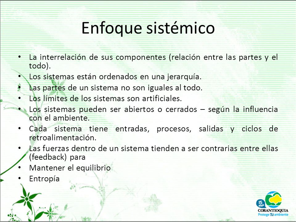 Enfoque sistémico La interrelación de sus componentes (relación entre las partes y el todo). Los sistemas están ordenados en una jerarquía.