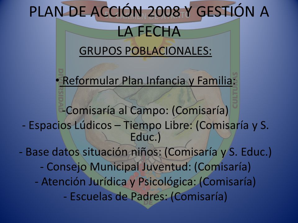 PLAN DE ACCIÓN 2008 Y GESTIÓN A LA FECHA