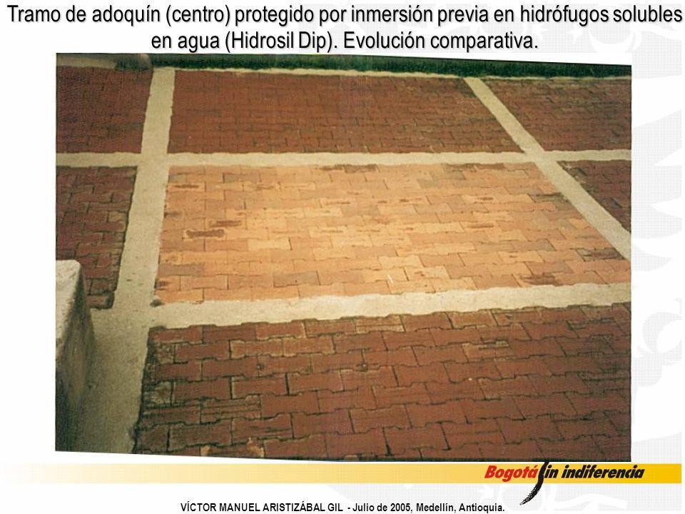 Tramo de adoquín (centro) protegido por inmersión previa en hidrófugos solubles en agua (Hidrosil Dip). Evolución comparativa.