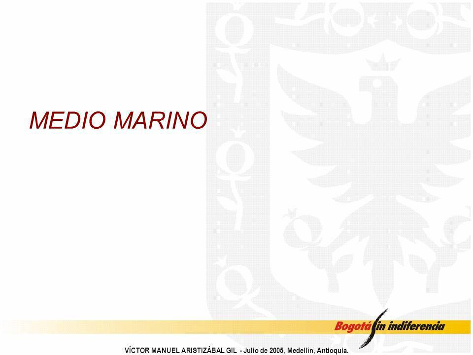 MEDIO MARINO VÍCTOR MANUEL ARISTIZÁBAL GIL - Julio de 2005, Medellín, Antioquia.