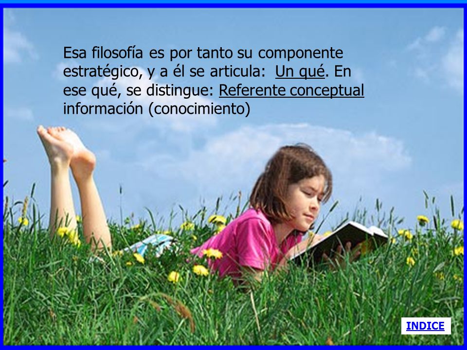 Esa filosofía es por tanto su componente estratégico, y a él se articula: Un qué. En ese qué, se distingue: Referente conceptual información (conocimiento)