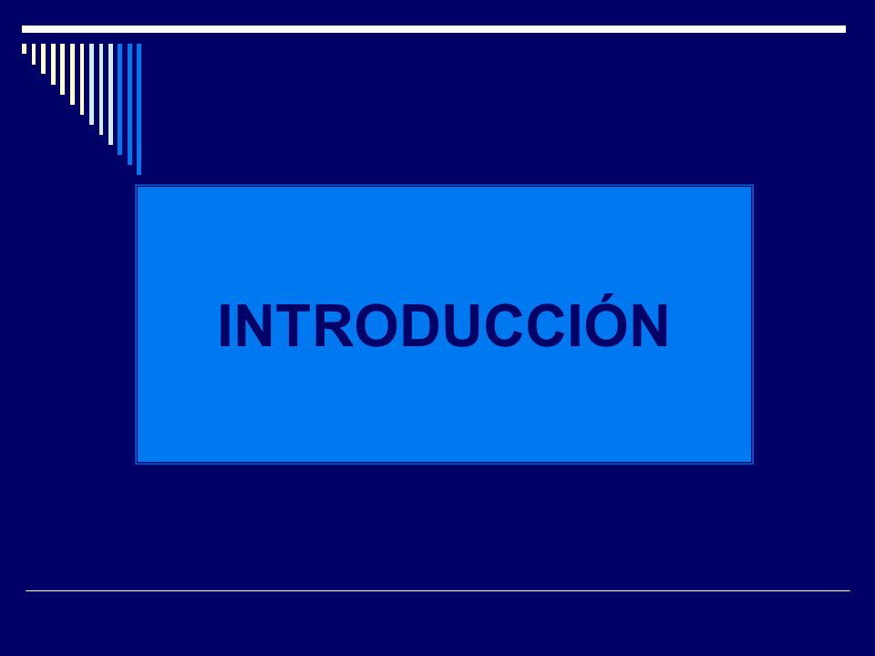 INTRODUCCIÓN