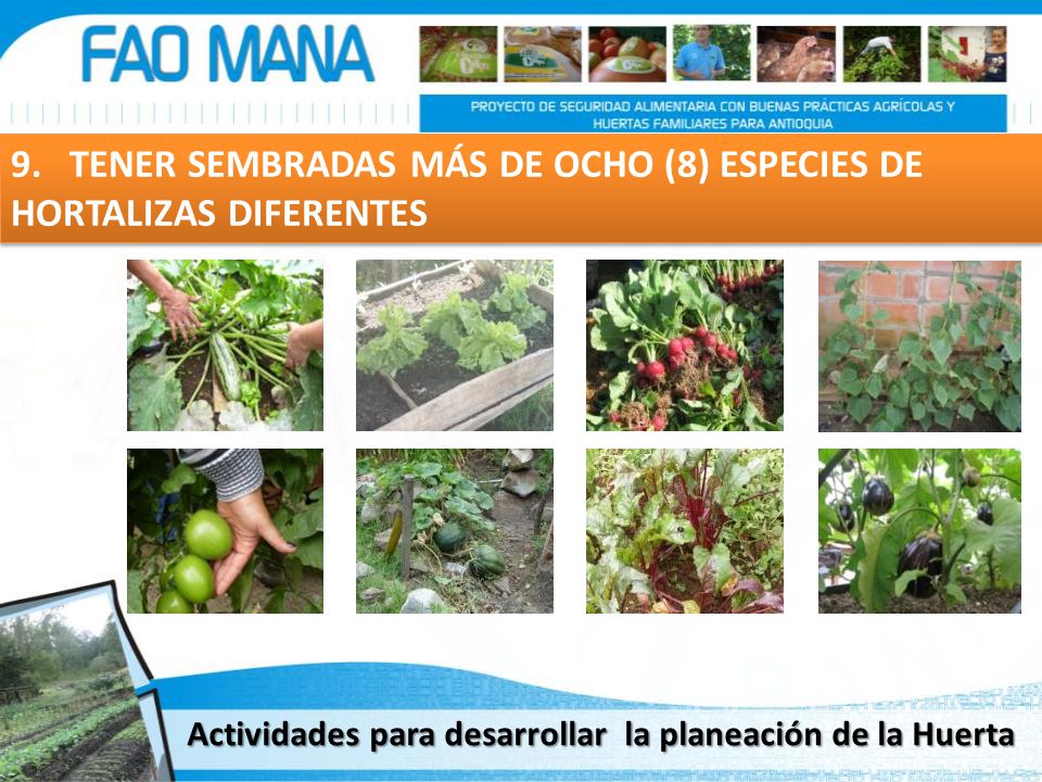 9. TENER SEMBRADAS MÁS DE OCHO (8) ESPECIES DE HORTALIZAS DIFERENTES