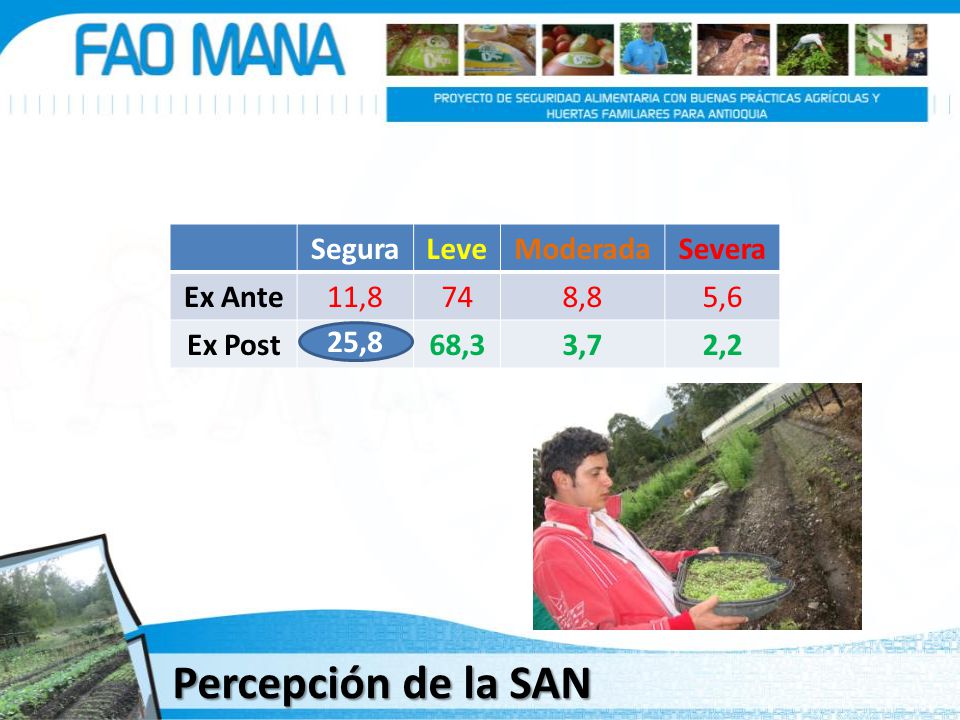 Percepción de la SAN Segura Leve Moderada Severa Ex Ante 11,8 74 8,8