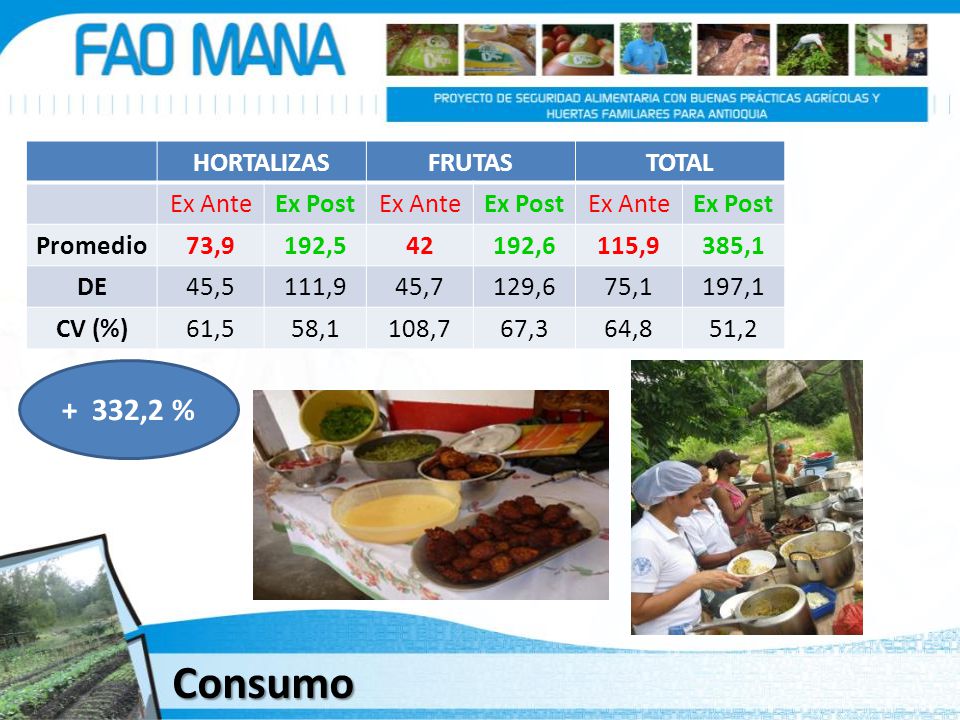 Consumo + 332,2 % HORTALIZAS FRUTAS TOTAL Ex Ante Ex Post Promedio