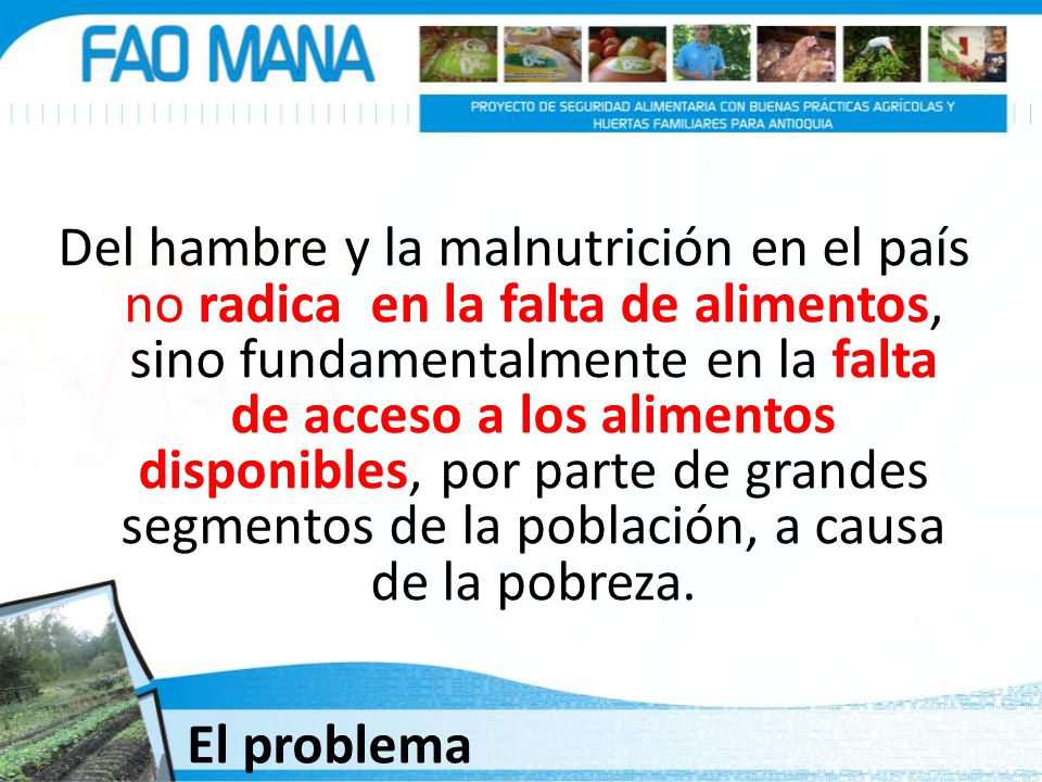 Del hambre y la malnutrición en el país no radica en la falta de alimentos, sino fundamentalmente en la falta de acceso a los alimentos disponibles, por parte de grandes segmentos de la población, a causa de la pobreza.