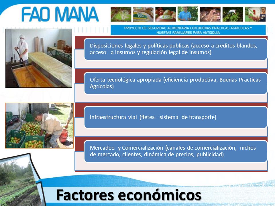 Disposiciones legales y políticas publicas (acceso a créditos blandos, acceso a insumos y regulación legal de insumos)