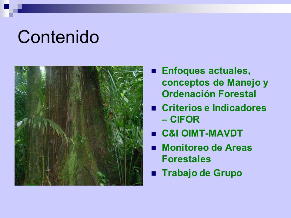 Contenido Enfoques actuales, conceptos de Manejo y Ordenación Forestal