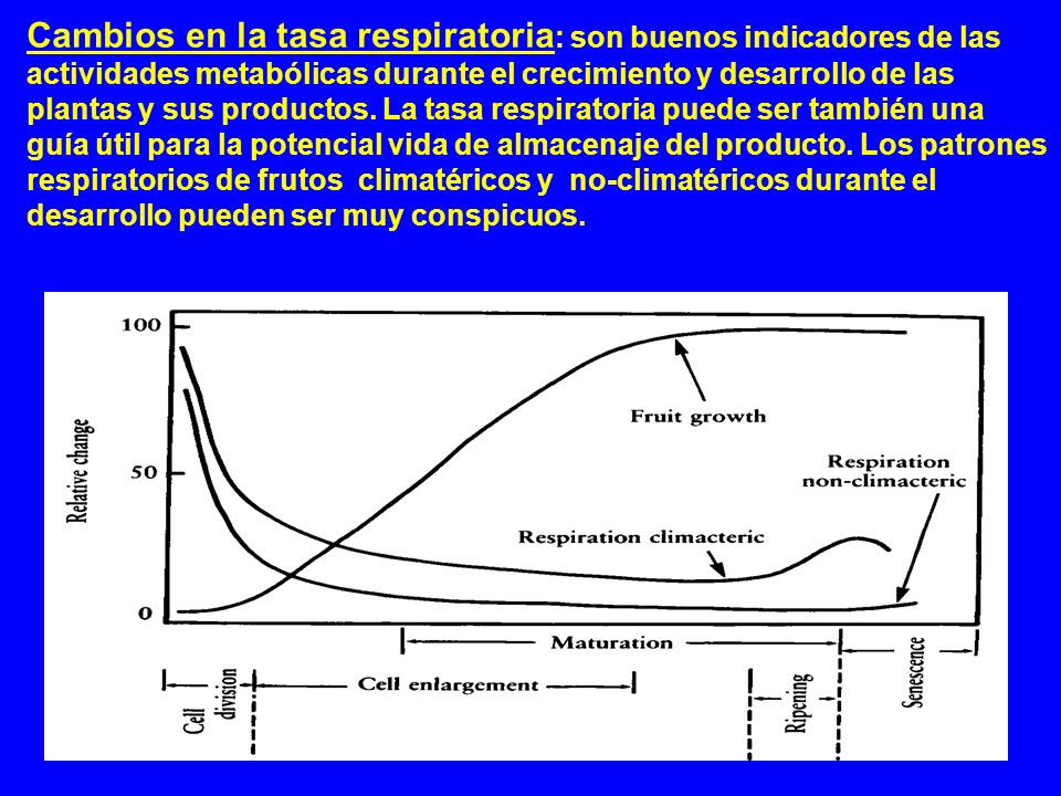 Cambios en la tasa respiratoria: son buenos indicadores de las actividades metabólicas durante el crecimiento y desarrollo de las plantas y sus productos.