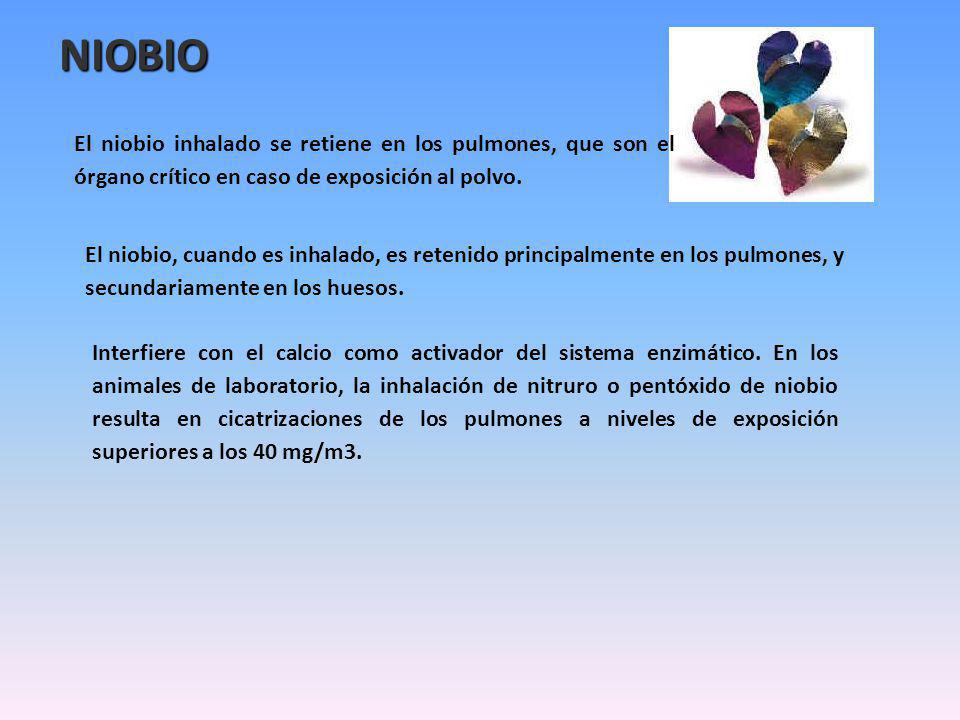 NIOBIO El niobio inhalado se retiene en los pulmones, que son el órgano crítico en caso de exposición al polvo.
