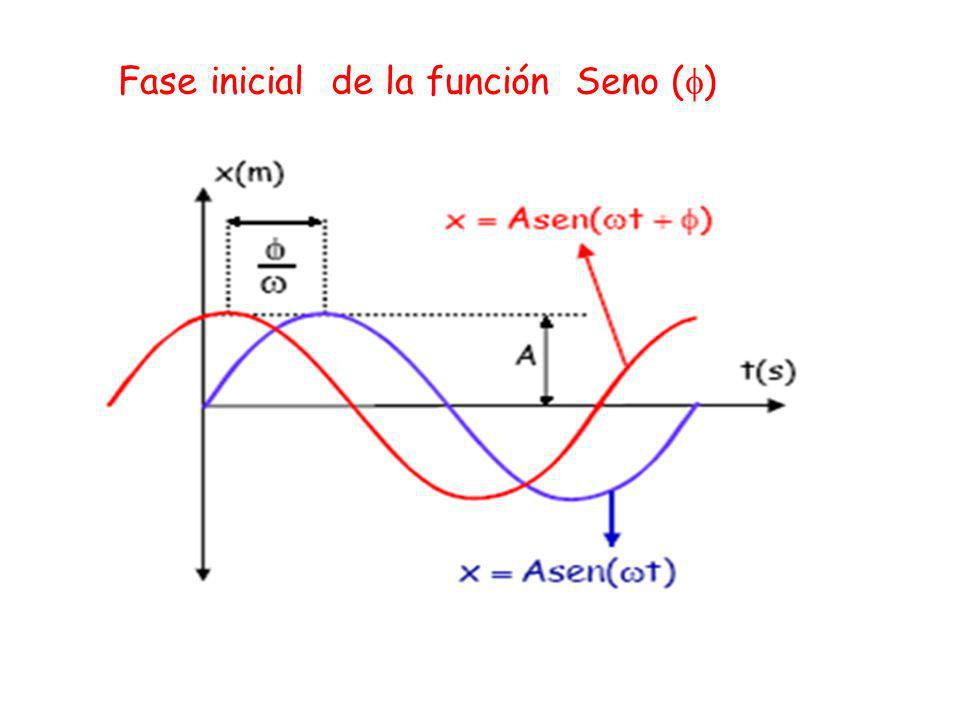 Fase inicial de la función Seno ()