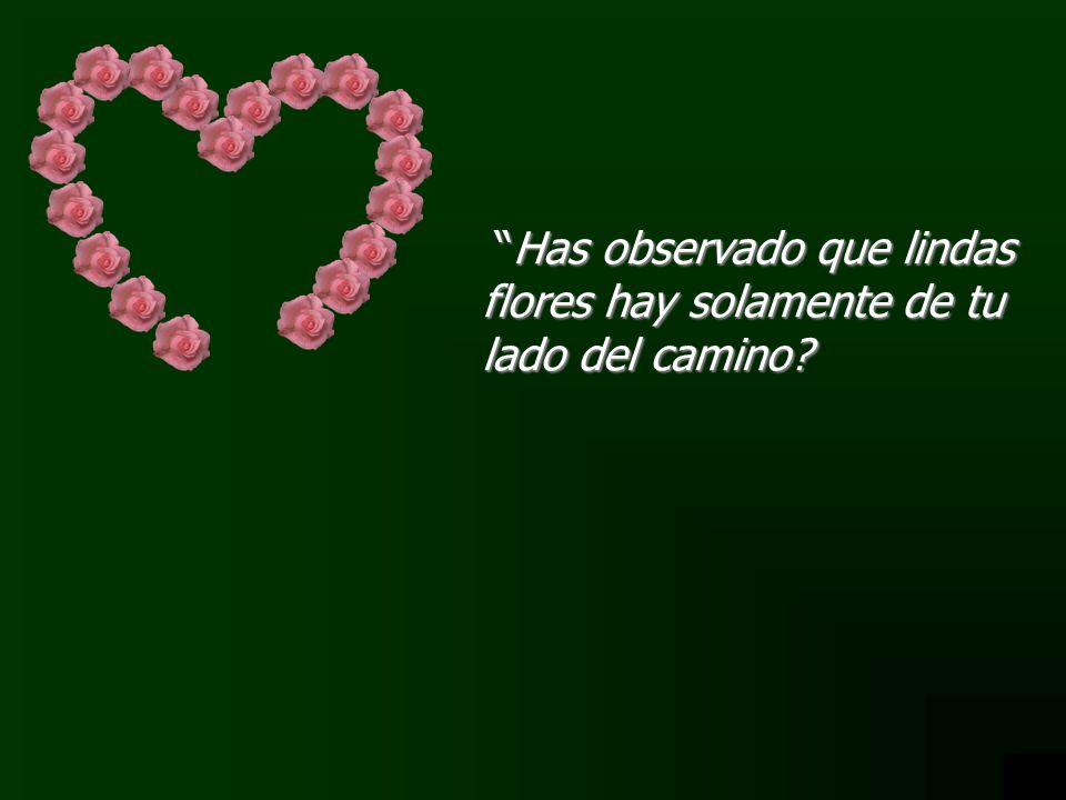 Has observado que lindas flores hay solamente de tu lado del camino