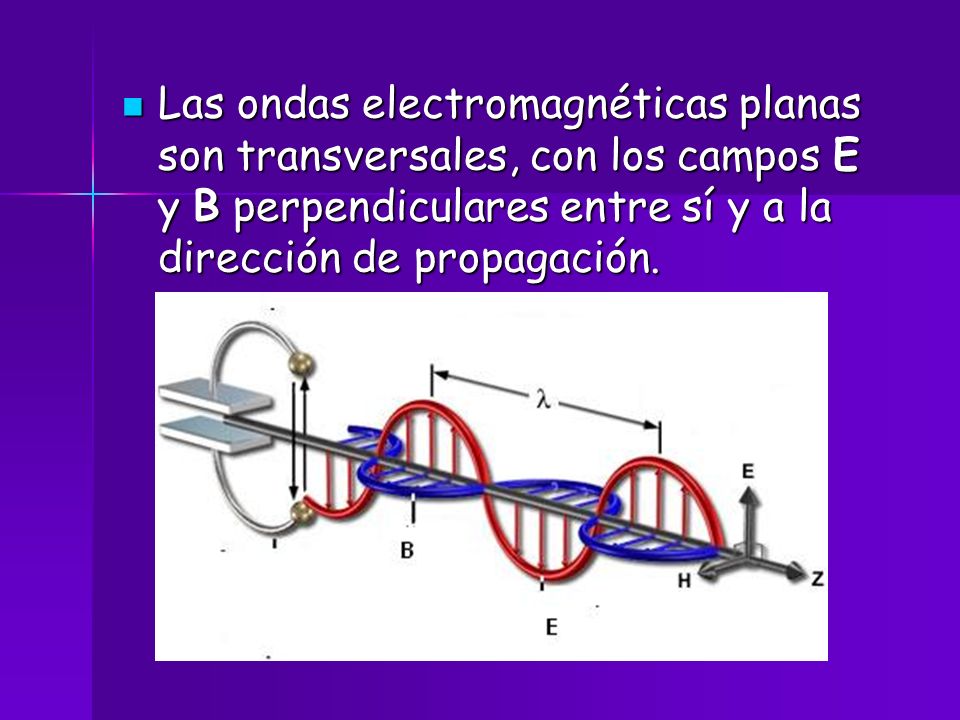 Las ondas electromagnéticas planas son transversales, con los campos E y B perpendiculares entre sí y a la dirección de propagación.