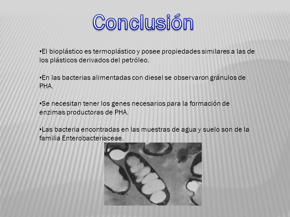 Conclusión El bioplástico es termoplástico y posee propiedades similares a las de los plásticos derivados del petróleo.