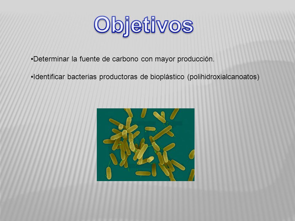 Objetivos Determinar la fuente de carbono con mayor producción.