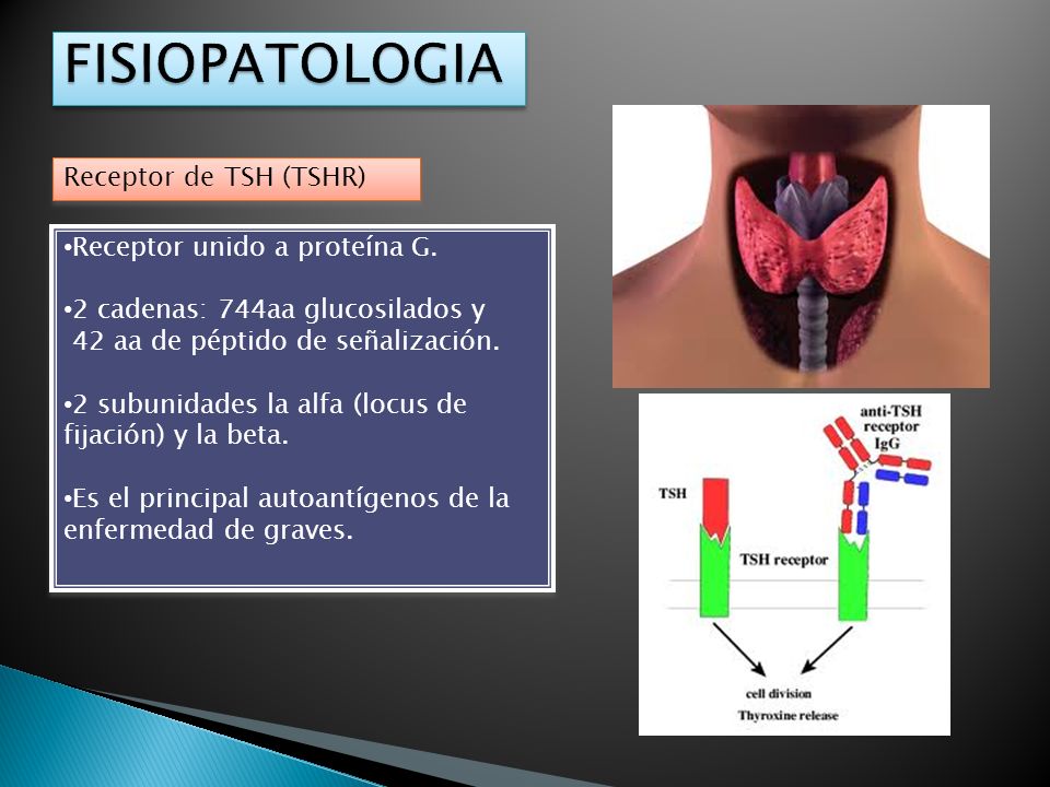 FISIOPATOLOGIA Receptor de TSH (TSHR) Receptor unido a proteína G.