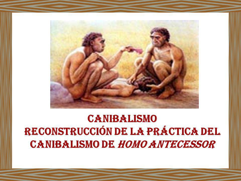 Reconstrucción de la práctica del canibalismo de Homo antecessor