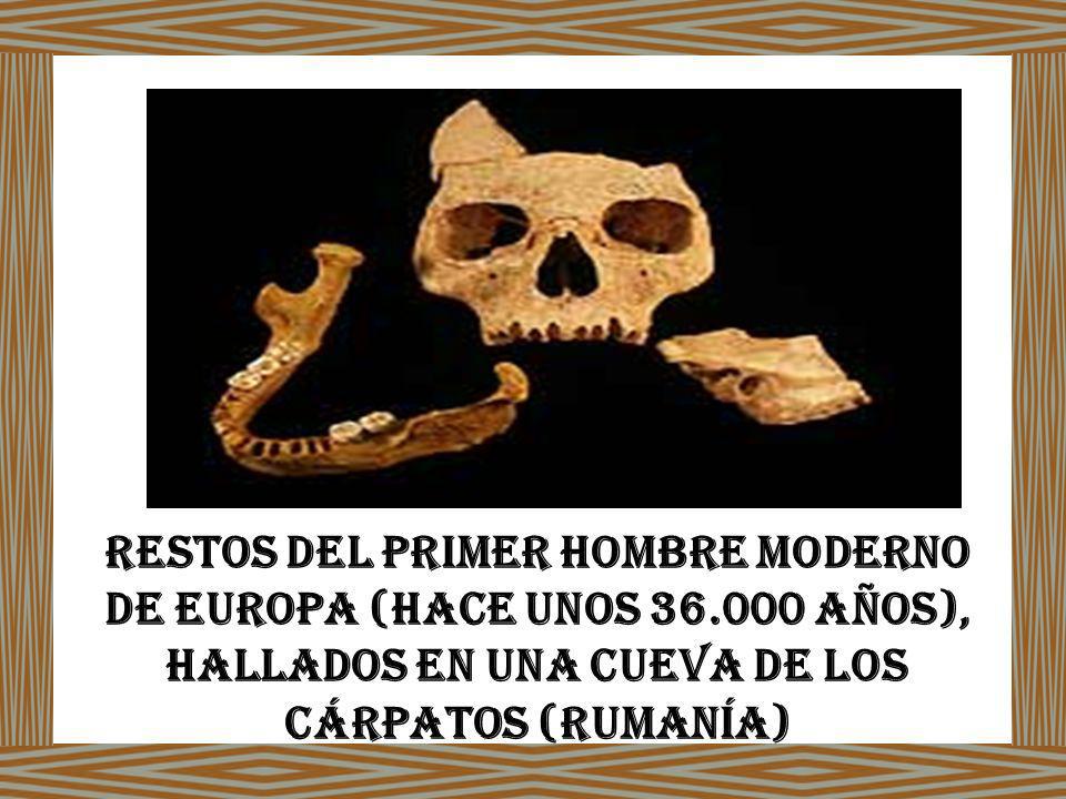 Restos del primer hombre moderno de Europa (hace unos 36