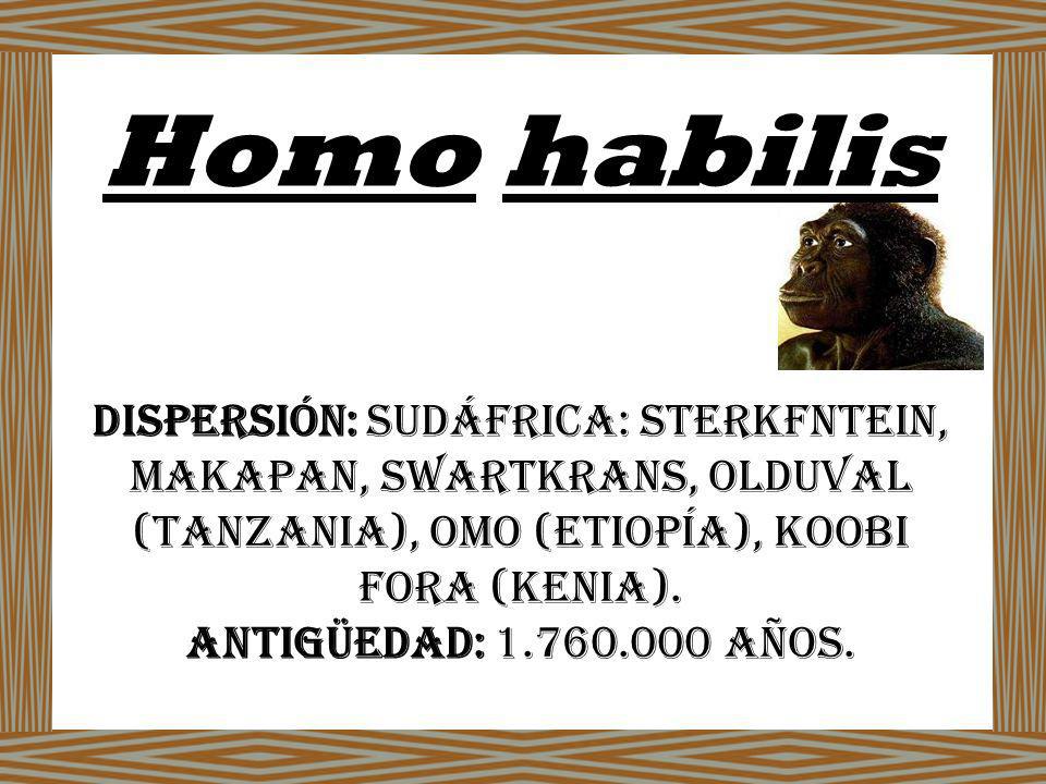 Homo habilis Dispersión: Sudáfrica: Sterkfntein, Makapan, Swartkrans, Olduval (Tanzania), Omo (Etiopía), Koobi Fora (Kenia).