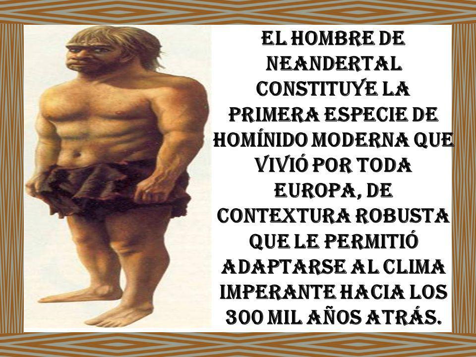 El hombre de Neandertal constituye la primera especie de homínido moderna que vivió por toda Europa, de contextura robusta que le permitió adaptarse al clima imperante hacia los 300 mil años atrás.
